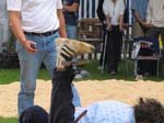 IMG_0037