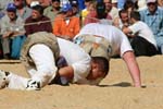 IMG_0356
