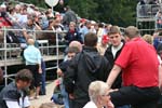 IMG_0538