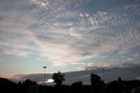 DSCN5964