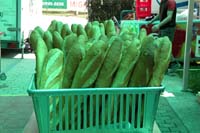 DSCN5844