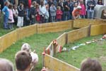 IMG_0631
