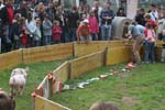 IMG_0632