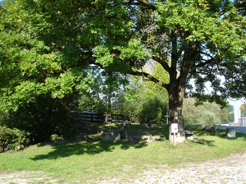 DSC00971