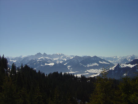 DSC03365
